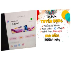 Cú Lừa Kiếm Tiền Online Tại Nhà