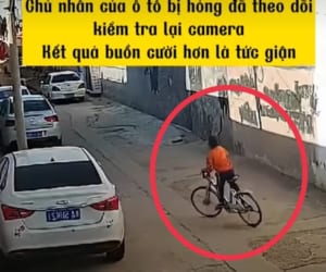 Cậu Bé Quỳ Xuống Xin Lỗi